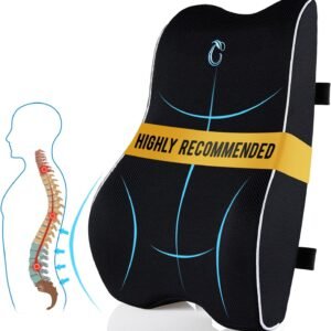 Lumbar Support Pillow for Office, C...
